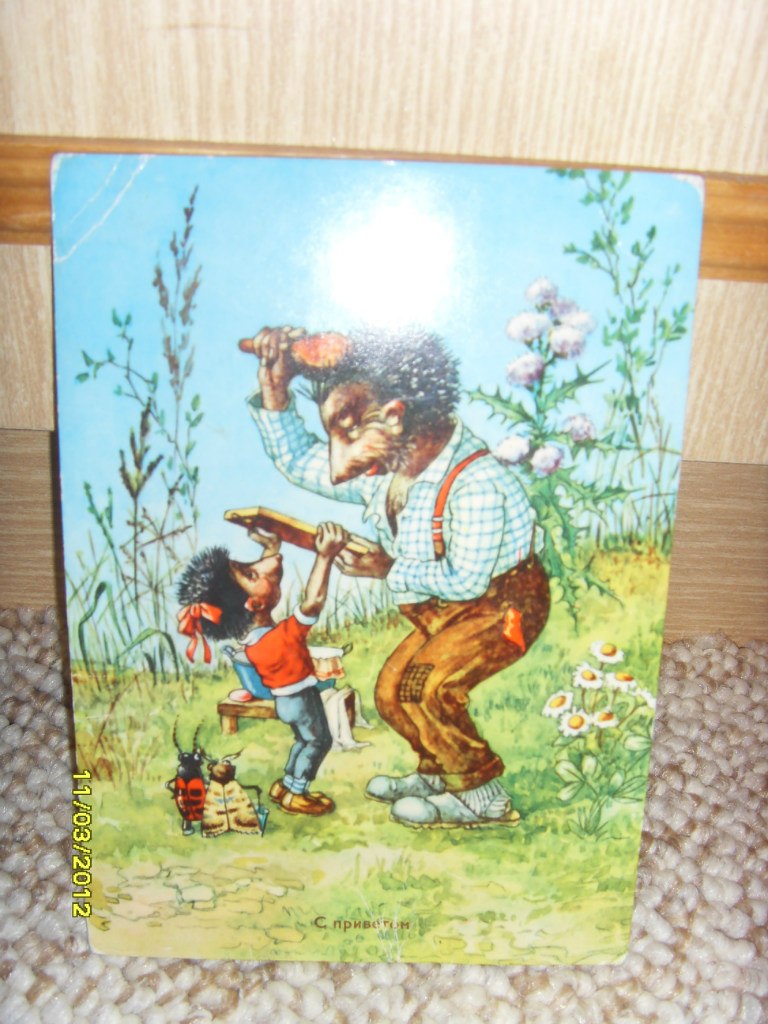 Михаил Беляев | Санкт-Петербург