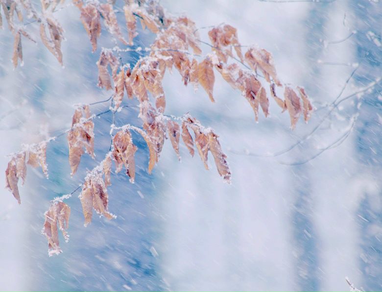 №18, Alyona Pecherkina, 31 год, Екатеринбург, Россия №18, Alyona Pecherkina, 31 год, Екатеринбург, Россия