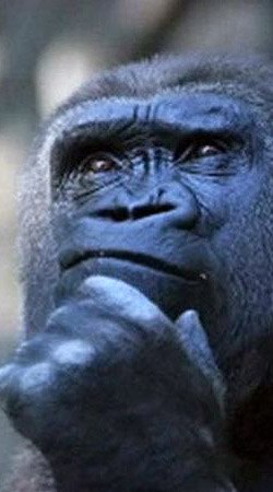 Олег Лихачёв OlegRuSSo © | Казань