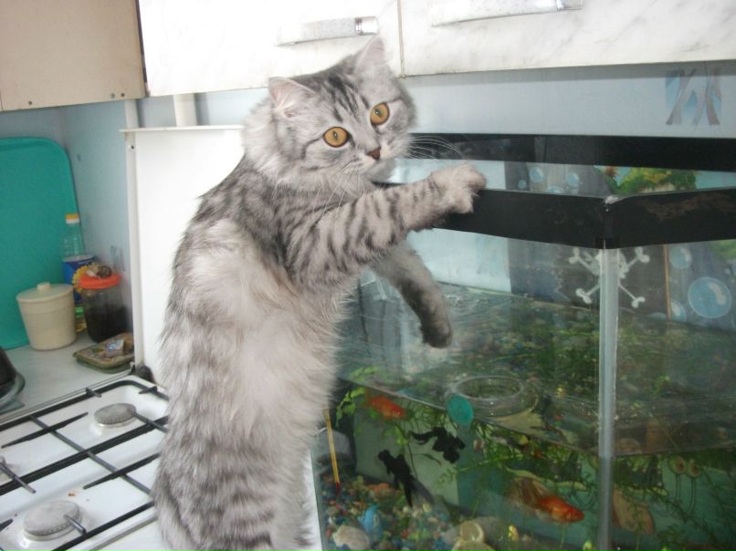 Елена Орещук | Челябинск