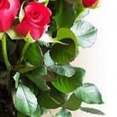 №59, Анастасия Чугунова, Чебоксары №59, Анастасия Чугунова, Чебоксары