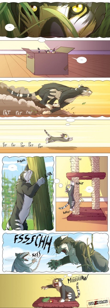 Александр Михайлов Sentru | Санкт-Петербург