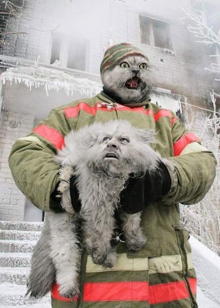 №55, Roman Raut, 35 лет, Калининград №55, Roman Raut, 35 лет, Калининград