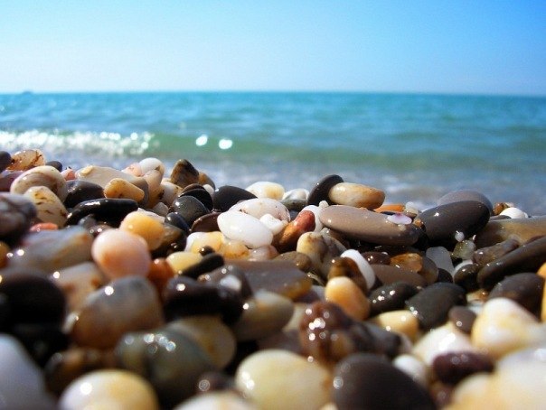 Алёна Вайс | Москва