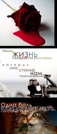 №25, Коля Кравченко №25, Коля Кравченко