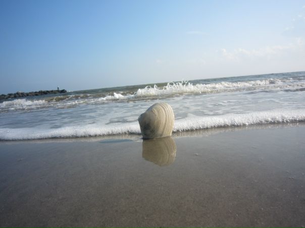 №105, Yelena Ziskina, New York City №105, Yelena Ziskina, New York City