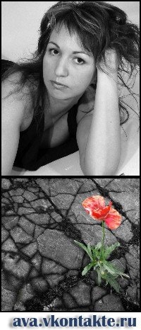 №44, Катерина Савкун, Санкт-Петербург №44, Катерина Савкун, Санкт-Петербург