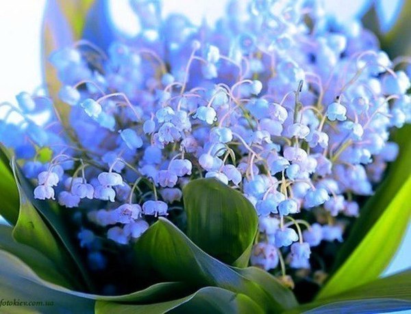 Аня Ерофеева | Казань