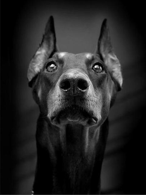 Александр Романов | Новосибирск