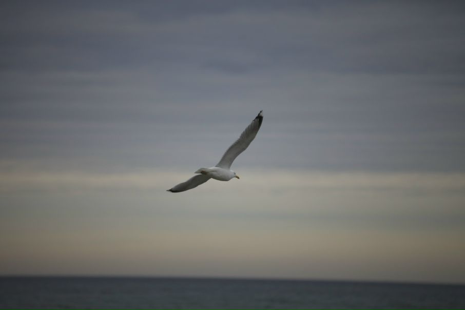 №7, Alexandra Revina, 40 лет №7, Alexandra Revina, 40 лет