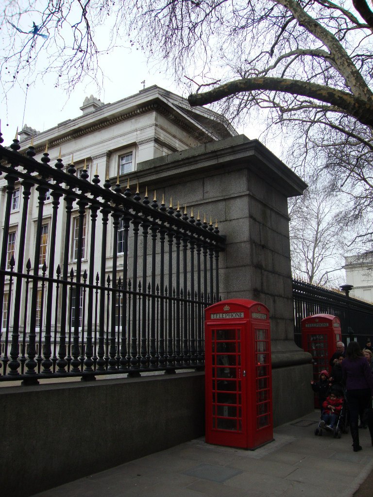 Егор Карпенков | Санкт-Петербург