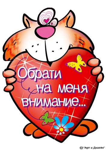 №13, Алексей Дударь, 36 лет, Киев №13, Алексей Дударь, 36 лет, Киев