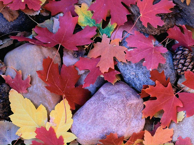 Ася Фролова ♥♥♥♥♥ | Москва