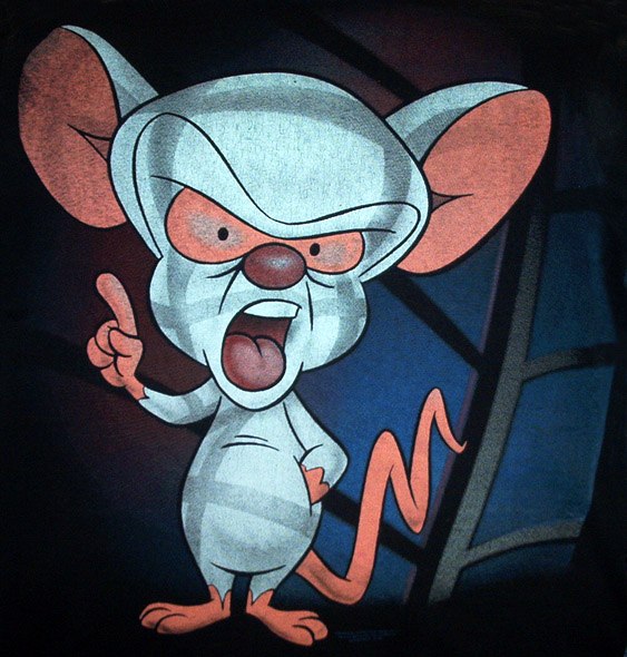 Nastya Beglova | Санкт-Петербург