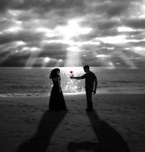 №97, Royal Memmedeliyev, 31 год, Баку, Азербайджан №97, Royal Memmedeliyev, 31 год, Баку, Азербайджан