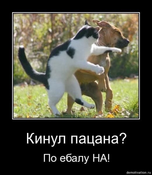 Dima Chulkov ◄▌▌█▬▬▬▬▬▬█▐▐► | Олонец