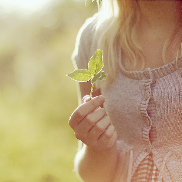 Светлана Ремез | 