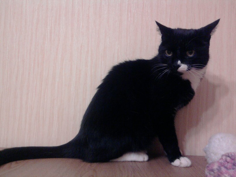 Анюта Пучкова | 