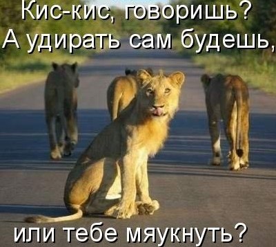 Василий Ефимов Re@L | 