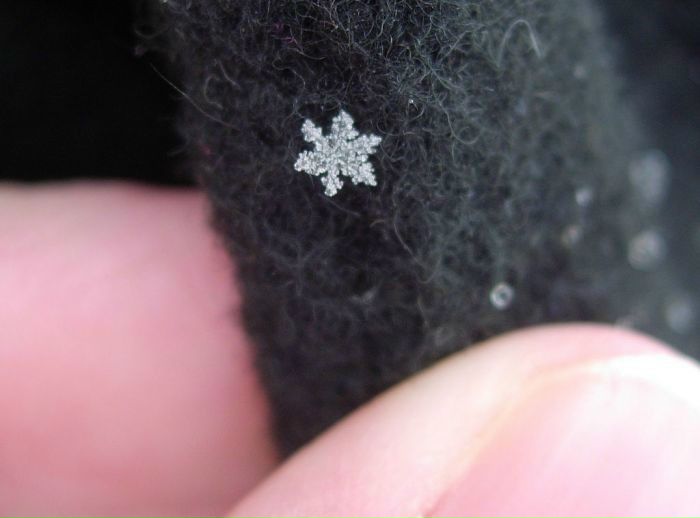 №108, Екатерина Калайда, Чернигов №108, Екатерина Калайда, Чернигов