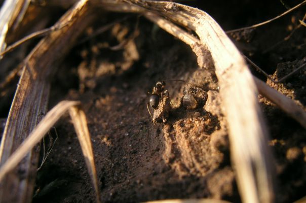 №114, Татьяна Тюпкина, Ярославль №114, Татьяна Тюпкина, Ярославль