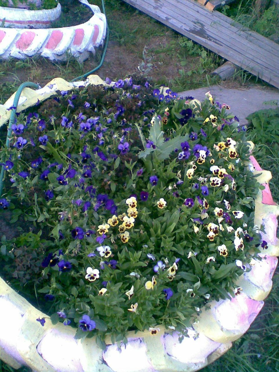 Владимир Жлоба | Октябрьский