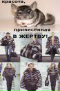 №12 Екатерина Молчан 23.12: профиль, фото, статус - ВКонтакте №12 Екатерина Молчан 23.12: профиль, фото, статус - ВКонтакте