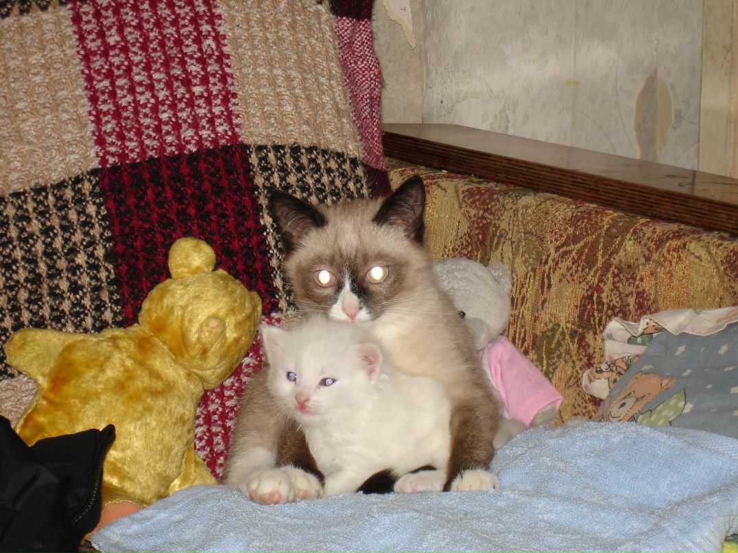 Ирина Горбунова | Сыктывкар