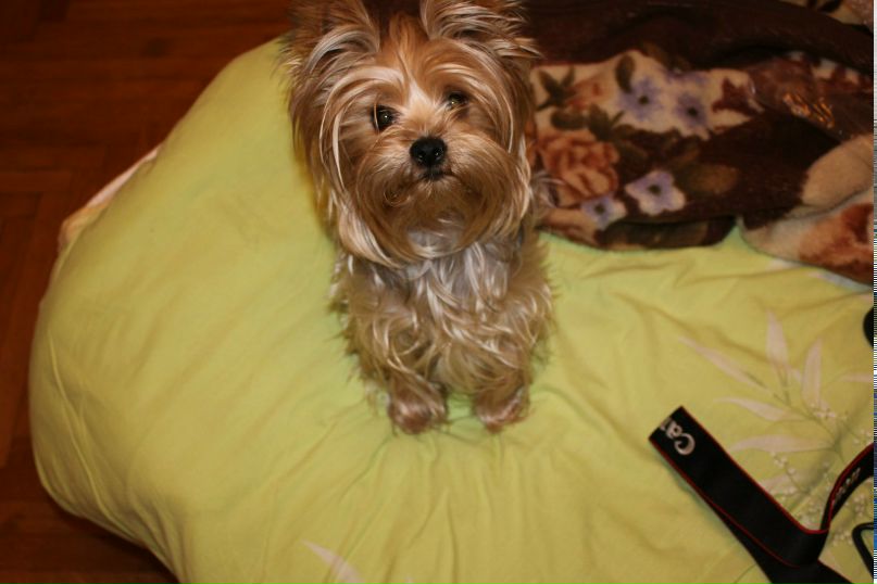 Наталия Кривенда | Белая Церковь