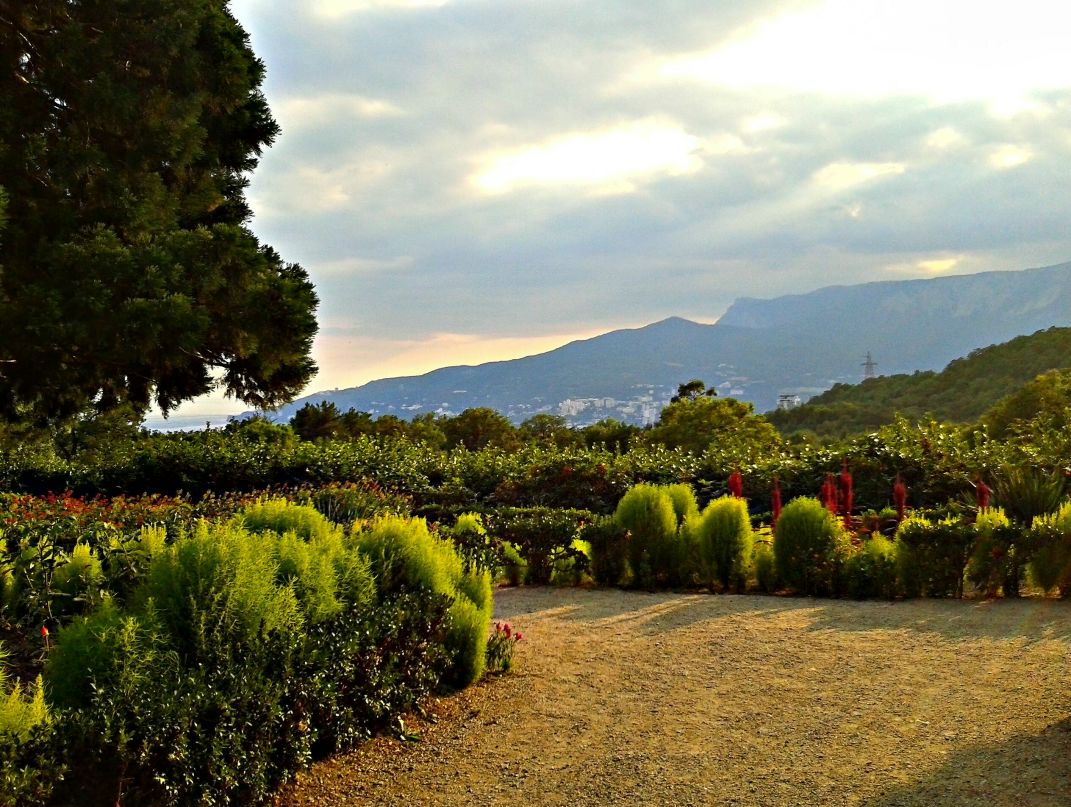 Александр Тупотин Сергеевич | Кривой Рог