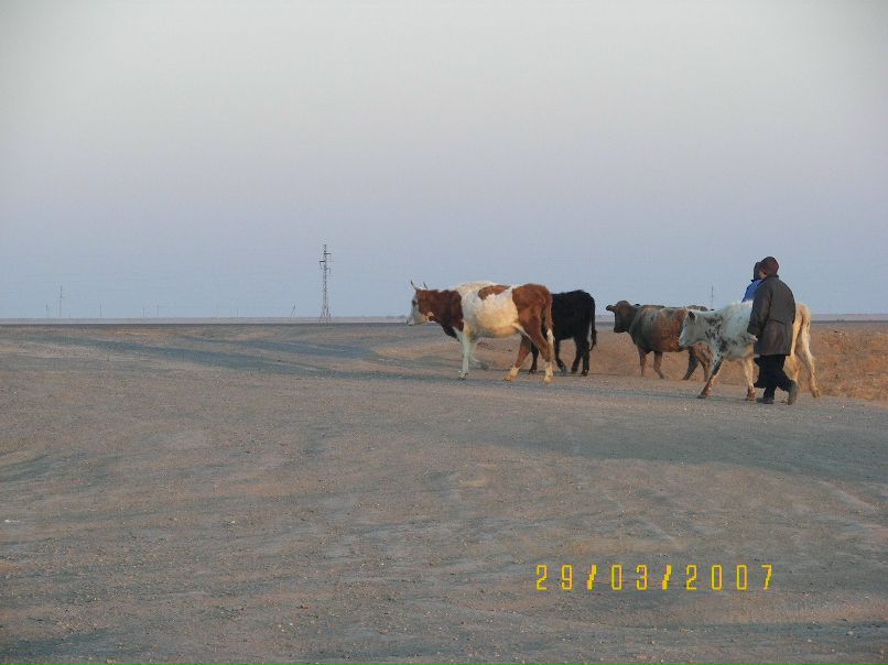 Алексей Турченюк Николаич | Самара