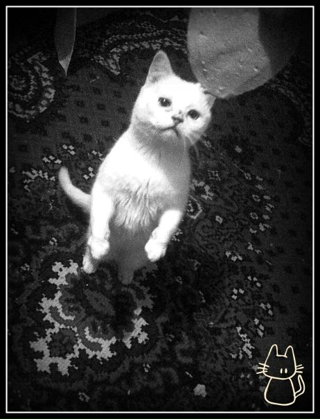 №132, Назарій Гудим'як, 32 года, Коломыя №132, Назарій Гудим'як, 32 года, Коломыя