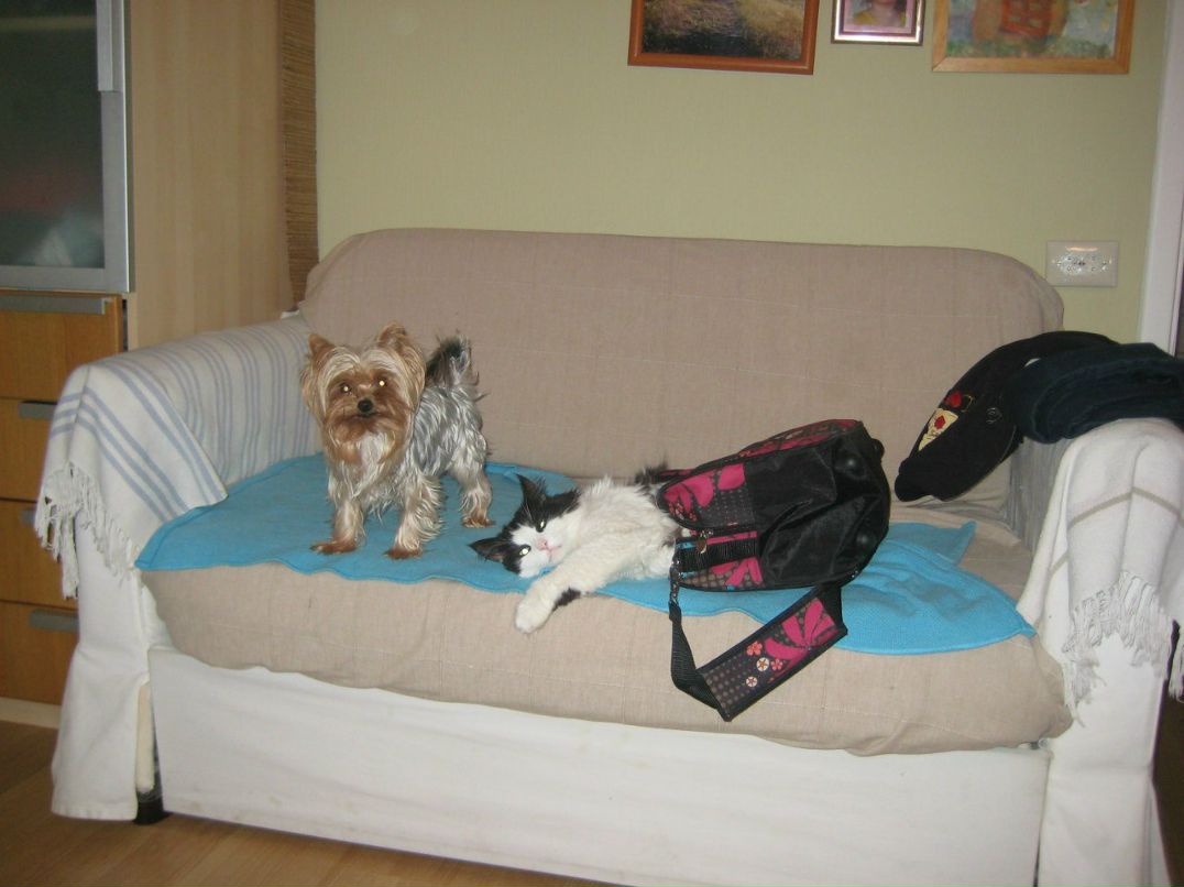 Елена Прохорова | Долгопрудный