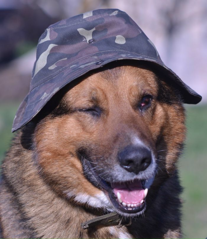 Артур Никитин | Авдеевка