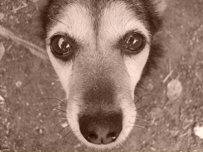 №113, Мария Кулешова, Санкт-Петербург, Россия №113, Мария Кулешова, Санкт-Петербург, Россия