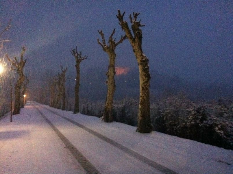 Анна Red | Санкт-Петербург