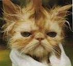 Марк Мосейчук | Донецк