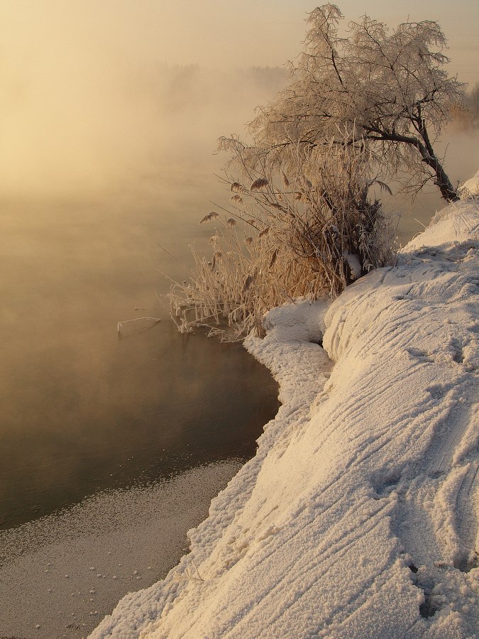Стас Юрасов | Омск