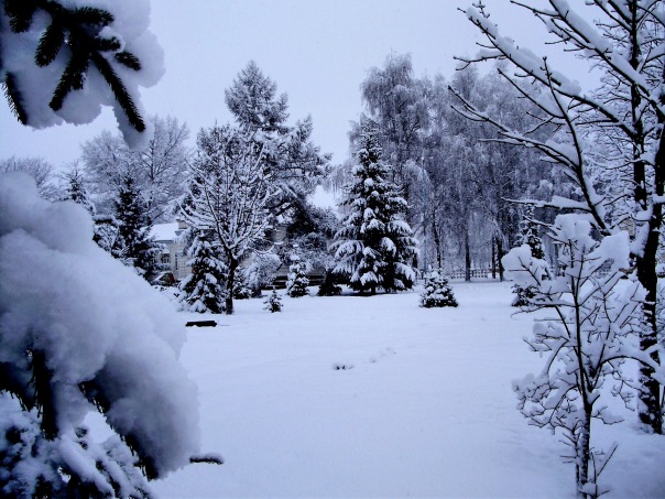 №34, Марина Петрюченко №34, Марина Петрюченко