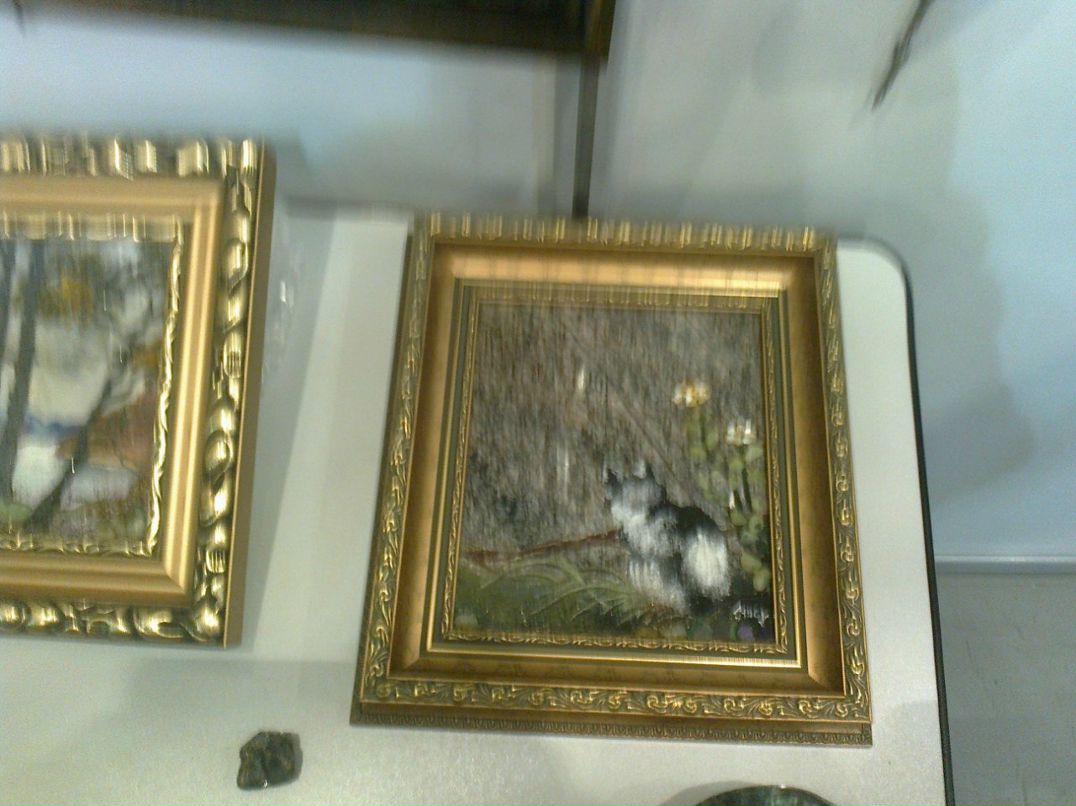 Анастасия Елисеева | Санкт-Петербург