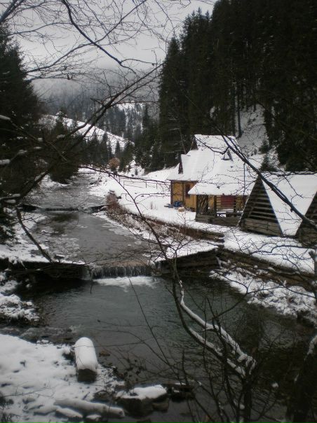 №5, Сергій Боруцький №5, Сергій Боруцький