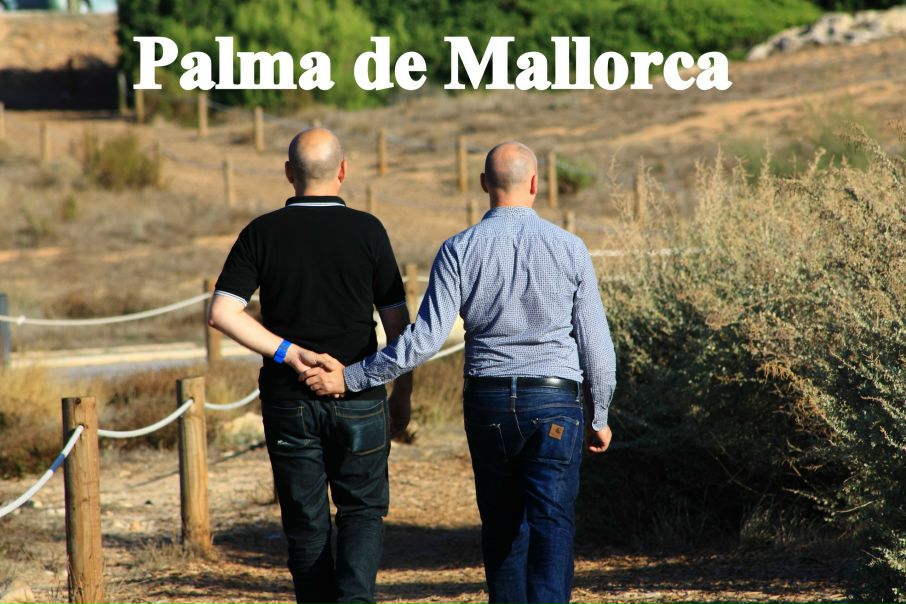 №22, Алена Шелест, Харьков №22, Алена Шелест, Харьков