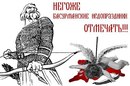 №29 Владислав Царёв