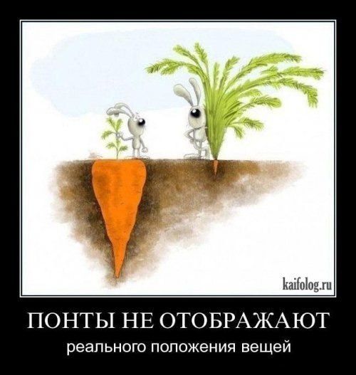 Маруся Авдошина | Краснодар