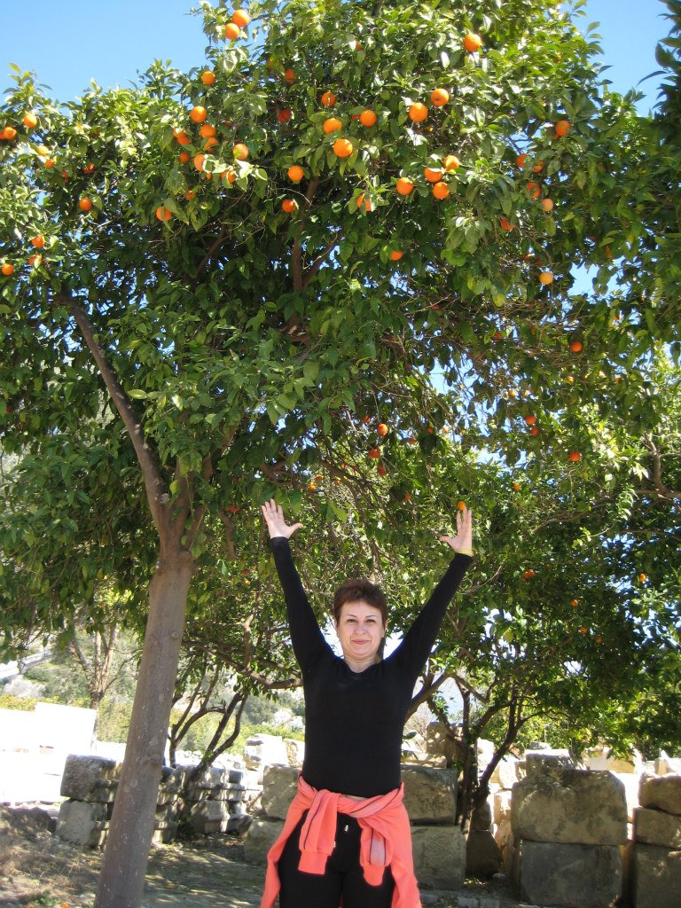 Виталий Болдасов | Севастополь