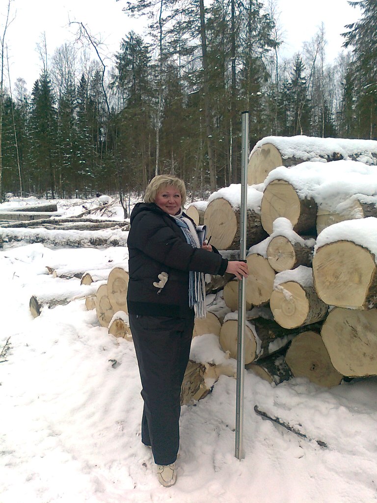 Наталия Паничева | Вологда