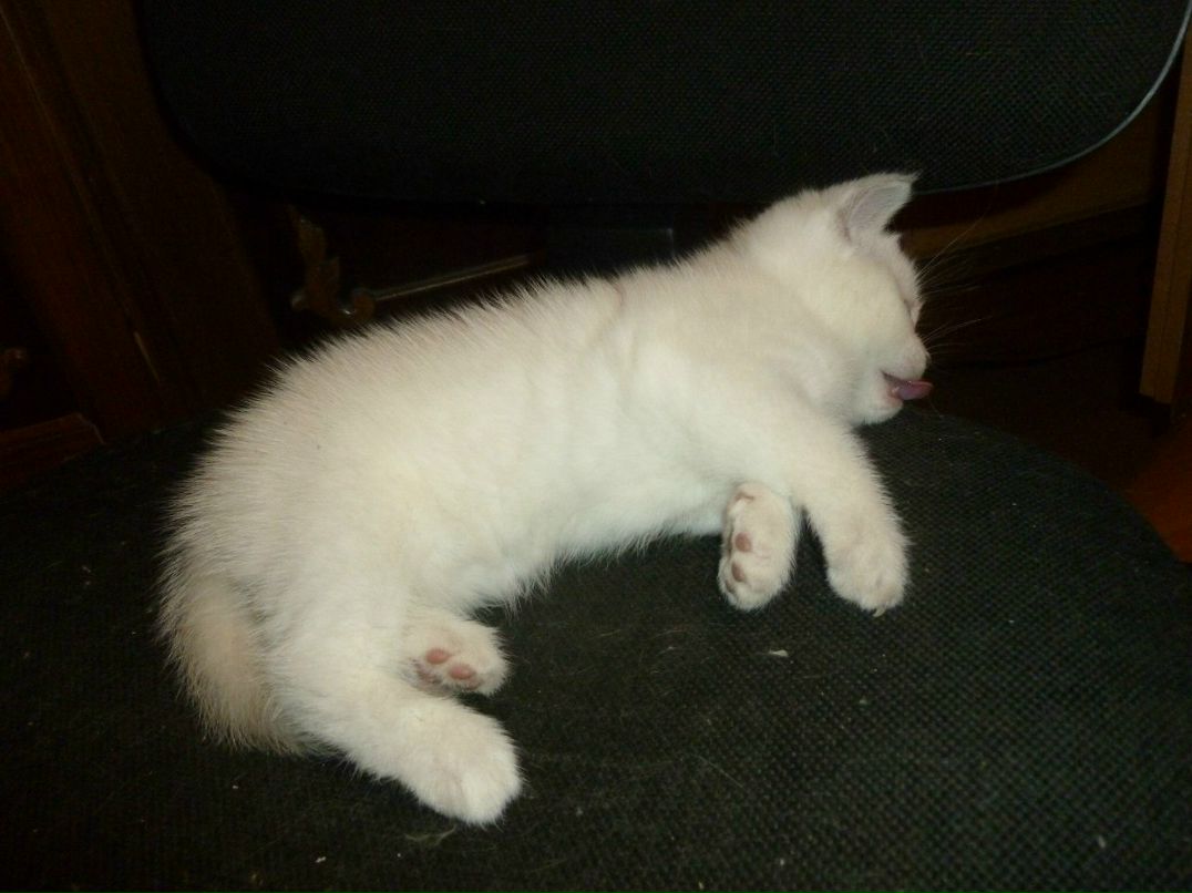 Татьяна Казанцева | Санкт-Петербург