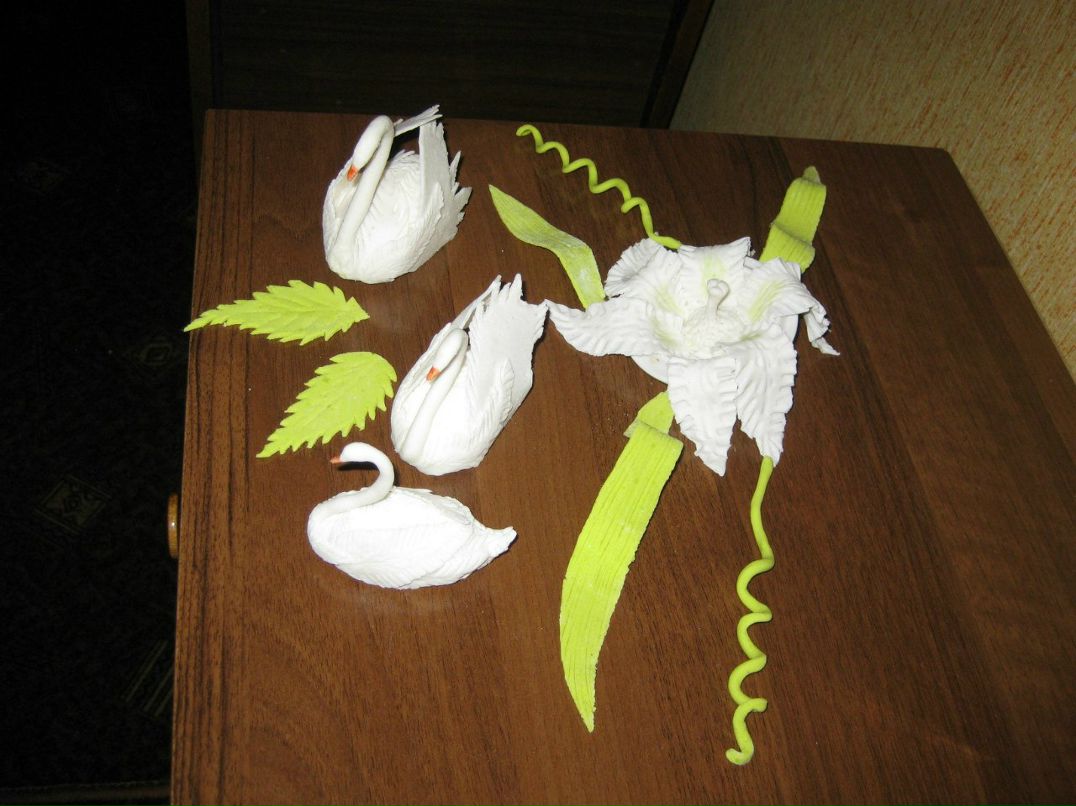 Лєнуля Тарасюк | Ровно