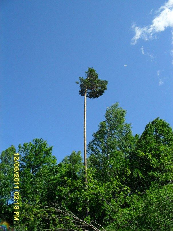 Sergei Shazamov | Нижний Новгород