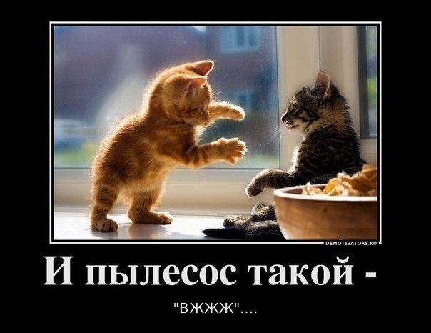 Ира Кухарчук | Киев